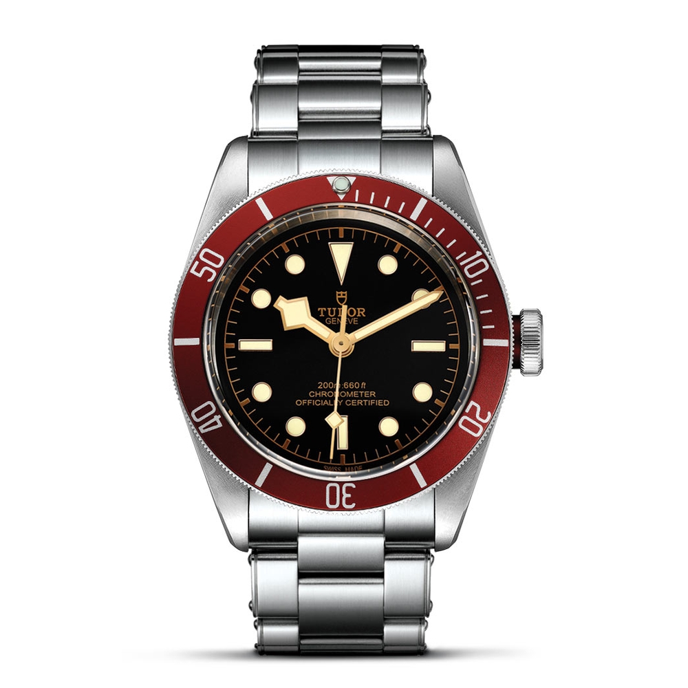 Tudor Black Bay Swiss Dive Stainless Steel Black 41mm Gents
