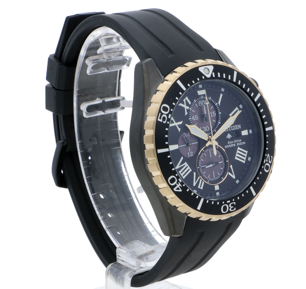 citizen promaster marine titan