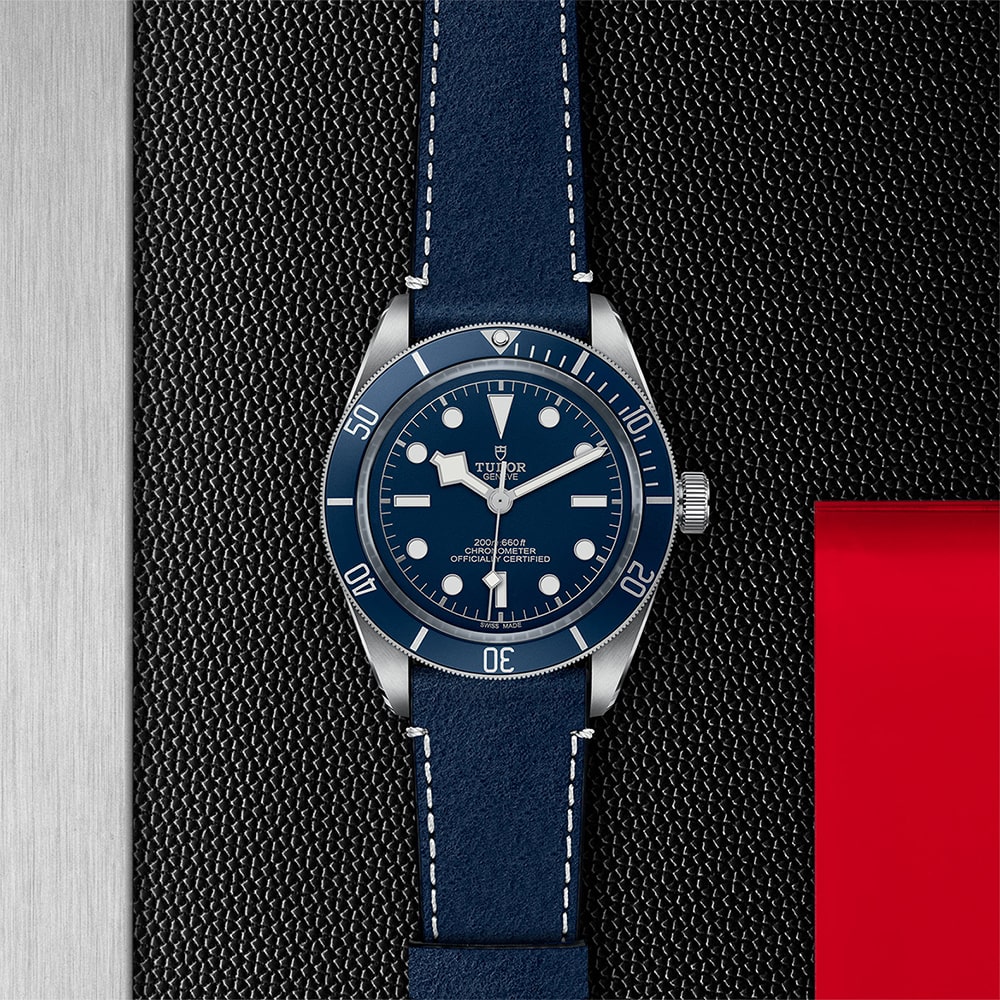 tudor black bay finance