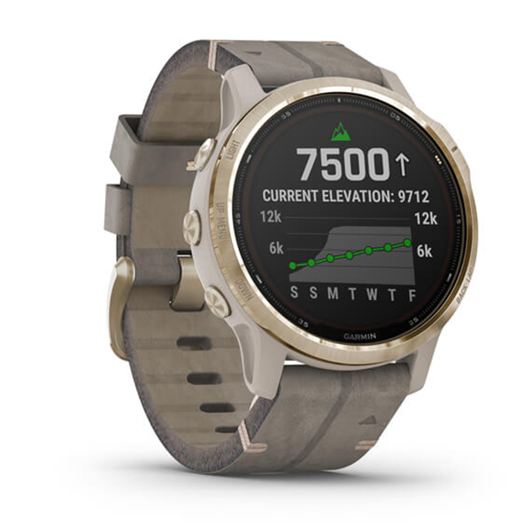 fenix 6 s pro